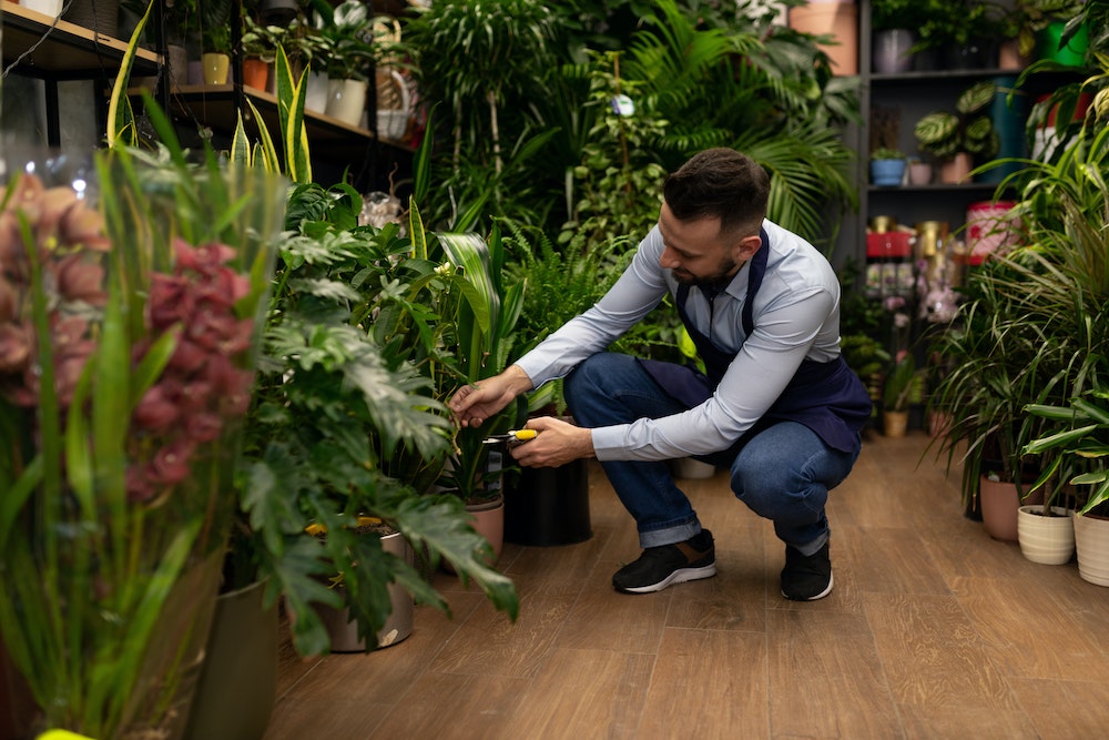 Quelle réglementation pour les soldes ? Un éclairage juridique