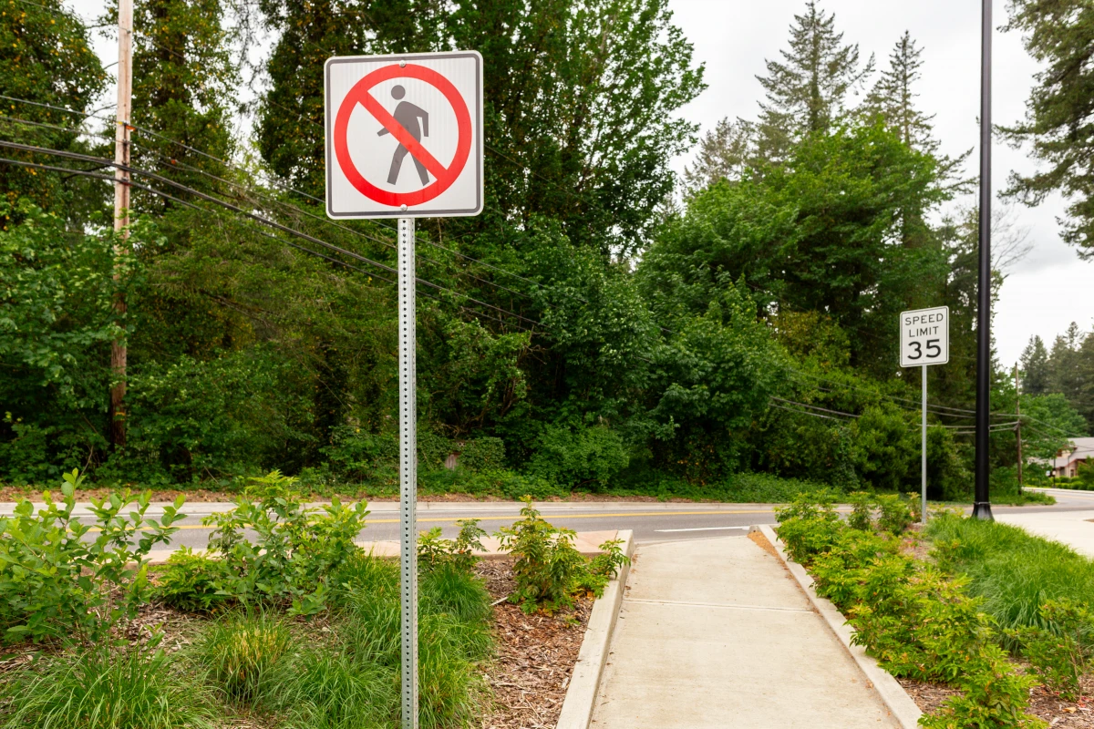 Code de la route et sanctions : Tout ce que vous devez savoir pour rester en règle