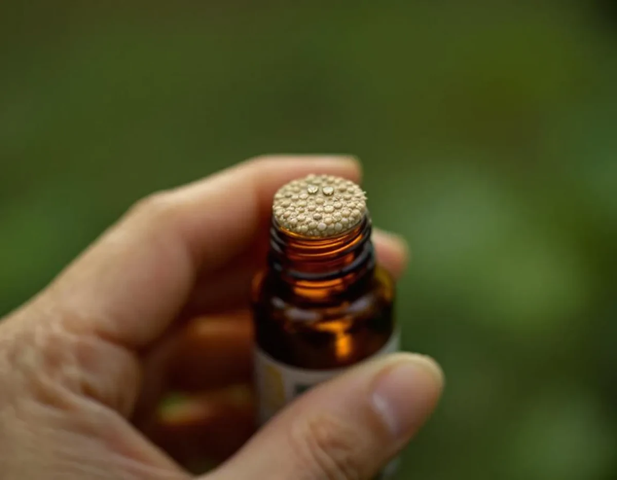 Huile CBD : peut-elle être soumise à la TVA réduite ?