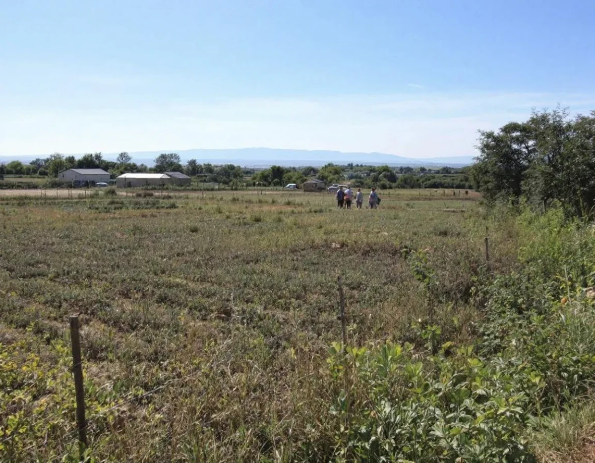 L'Assurance Multirisque Agricole : Protection Complète pour les Exploitants Agricoles Face aux Aléas
